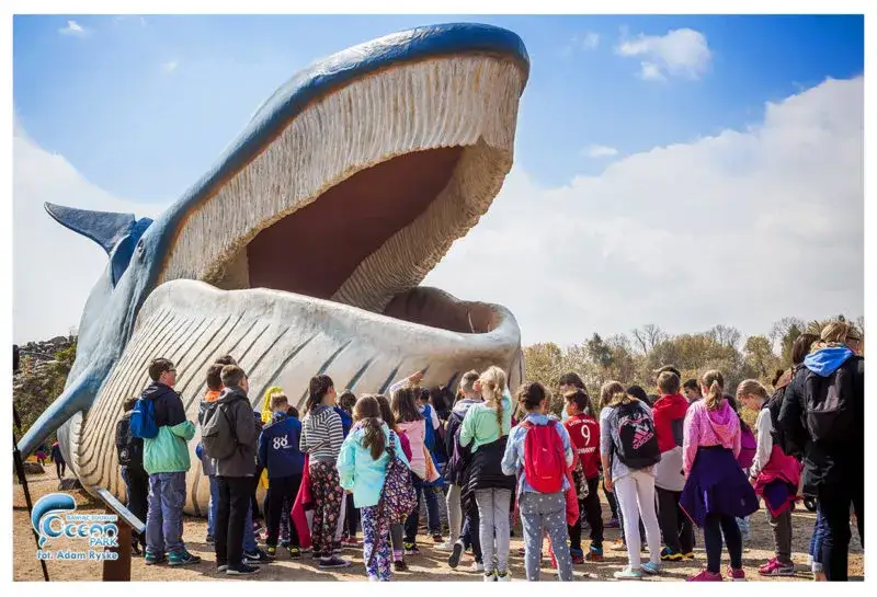 Karwia w deszczu? Odkryj najlepsze atrakcje dla dzieci i dorosłych!