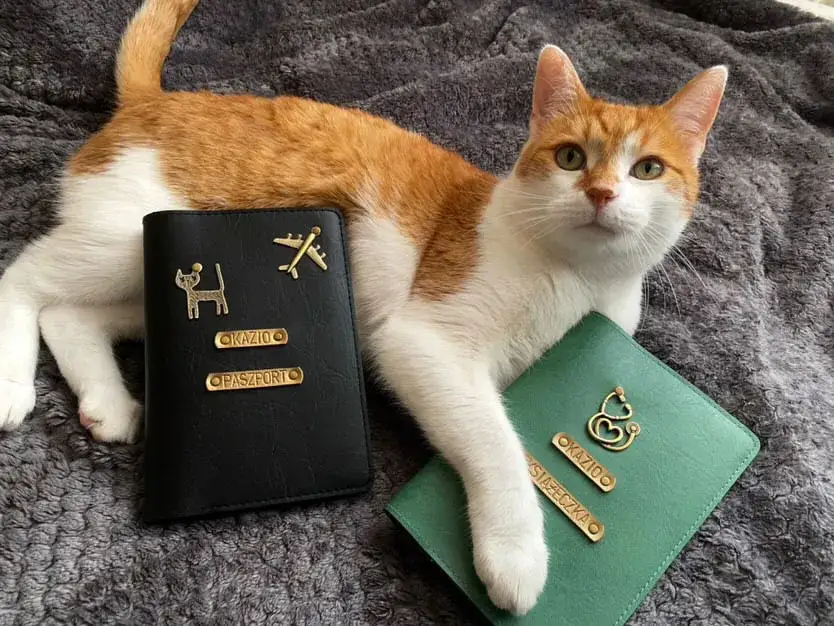 Paszport dla psa: wygląd, koszty, wyrobienie krok po kroku