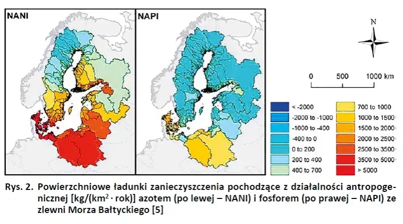 Dlaczego Bałtyk jest zanieczyszczony? Odkryj niebezpieczne przyczyny