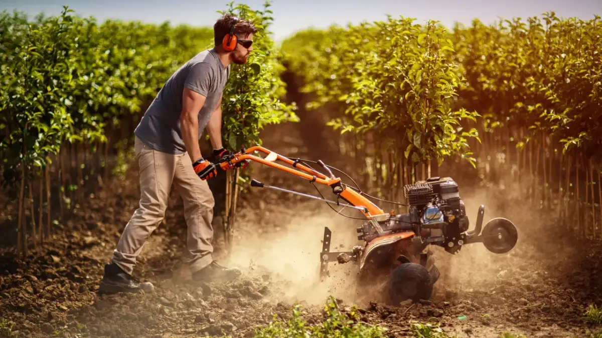 Jak działa glebogryzarka separacyjna: wszystkie funkcje i zastosowania