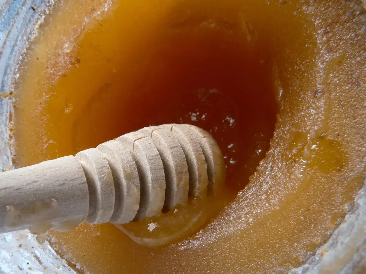 Scukrzony miód: jak rozpuścić, by nie stracił właściwości?