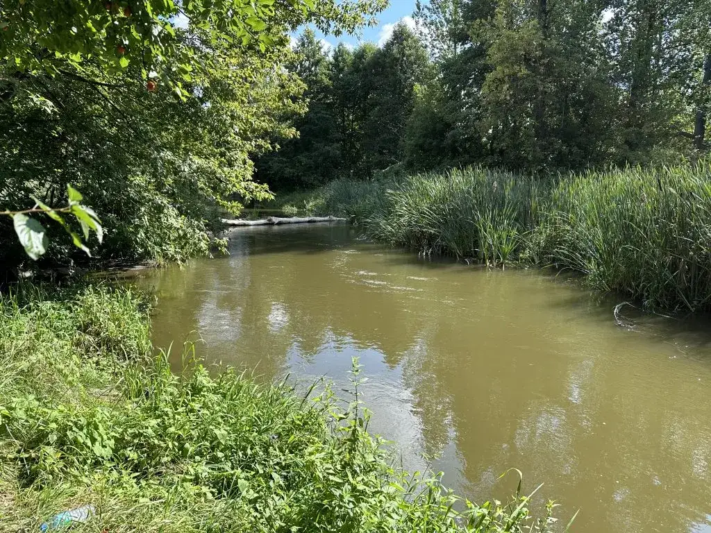 Nad jaką rzeką leży Lublin? Odkryj tajemnice Bystrzycy