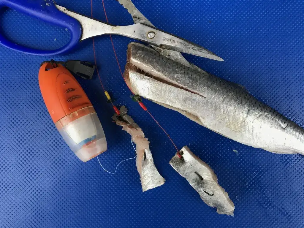 Jaki rozmiar haczyka na leszcza? Uniknij najczęstszych błędów w wędkarstwie