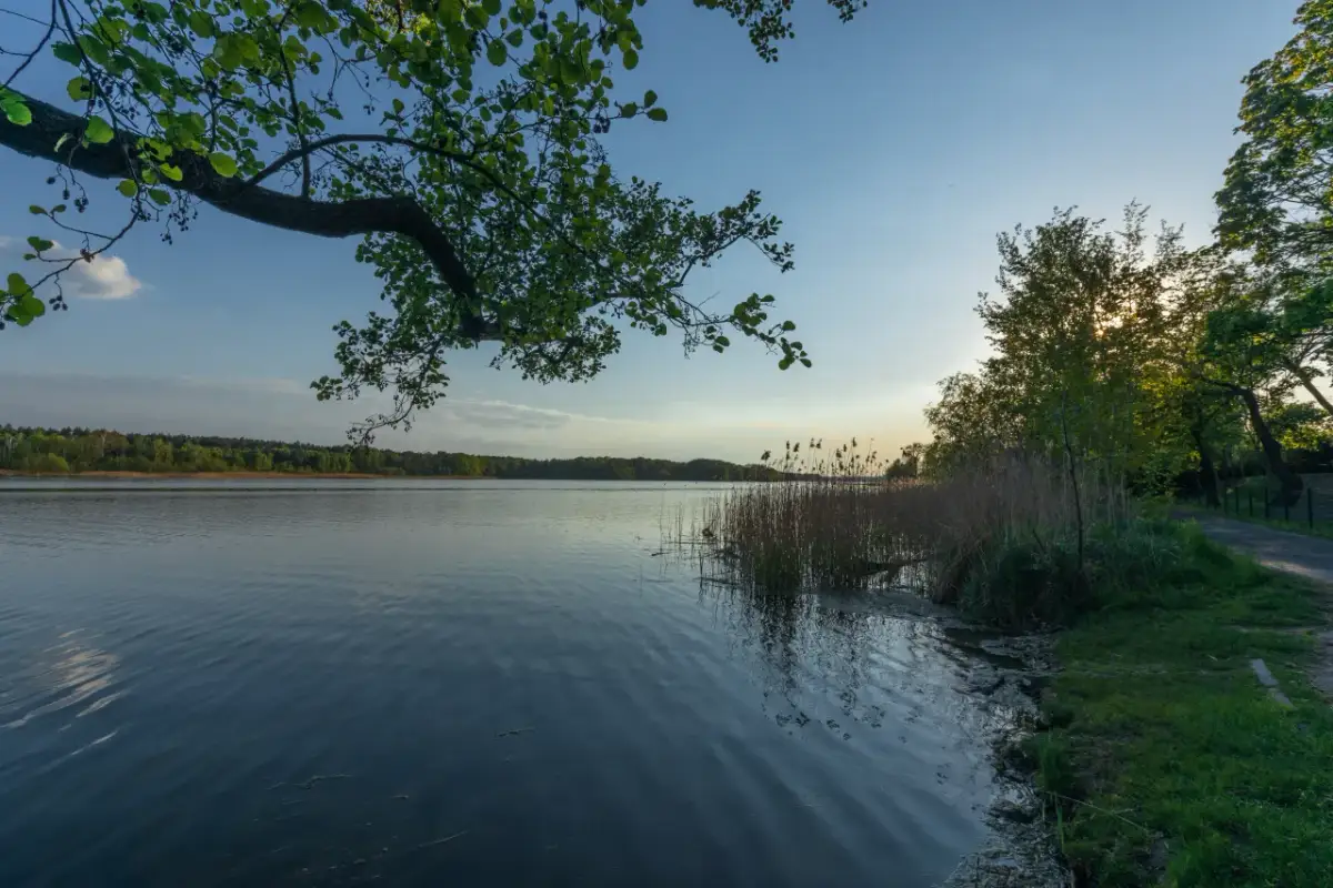 Jezioro Bytyń – raj dla wędkarzy i miłośników przyrody