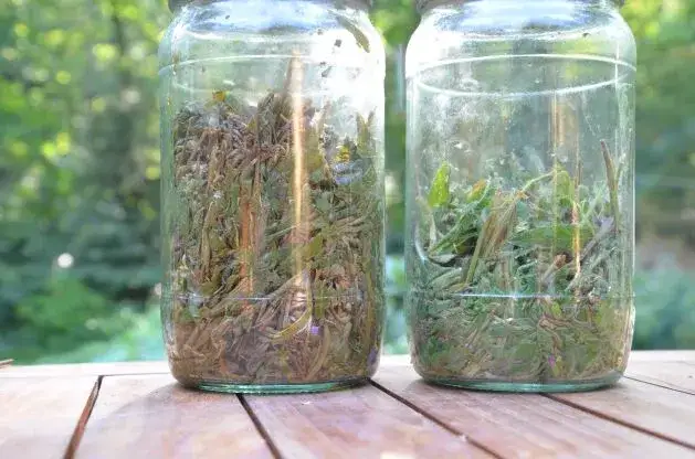 Jak zrobić czaj z herbaty – prosty przepis na tradycyjny rosyjski napar