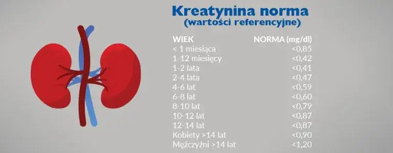 Podwyższony poziom kreatyniny w surowicy krwi - co to oznacza dla zdrowia?