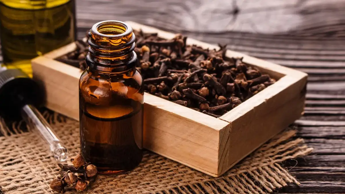 Butelka z olejkiem goździkowym, drewniana skrzynka z goździkami i pipeta.