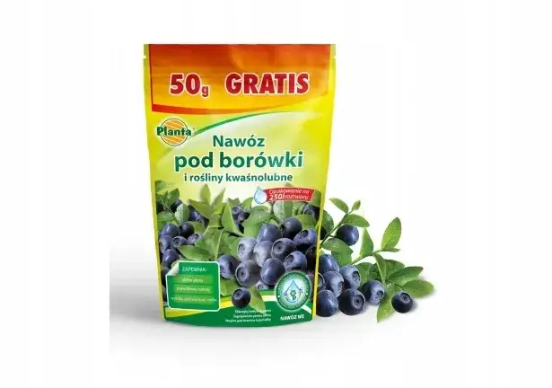 Jaki nawóz pod borówkę amerykańską? Poznaj kluczowe rekomendacje