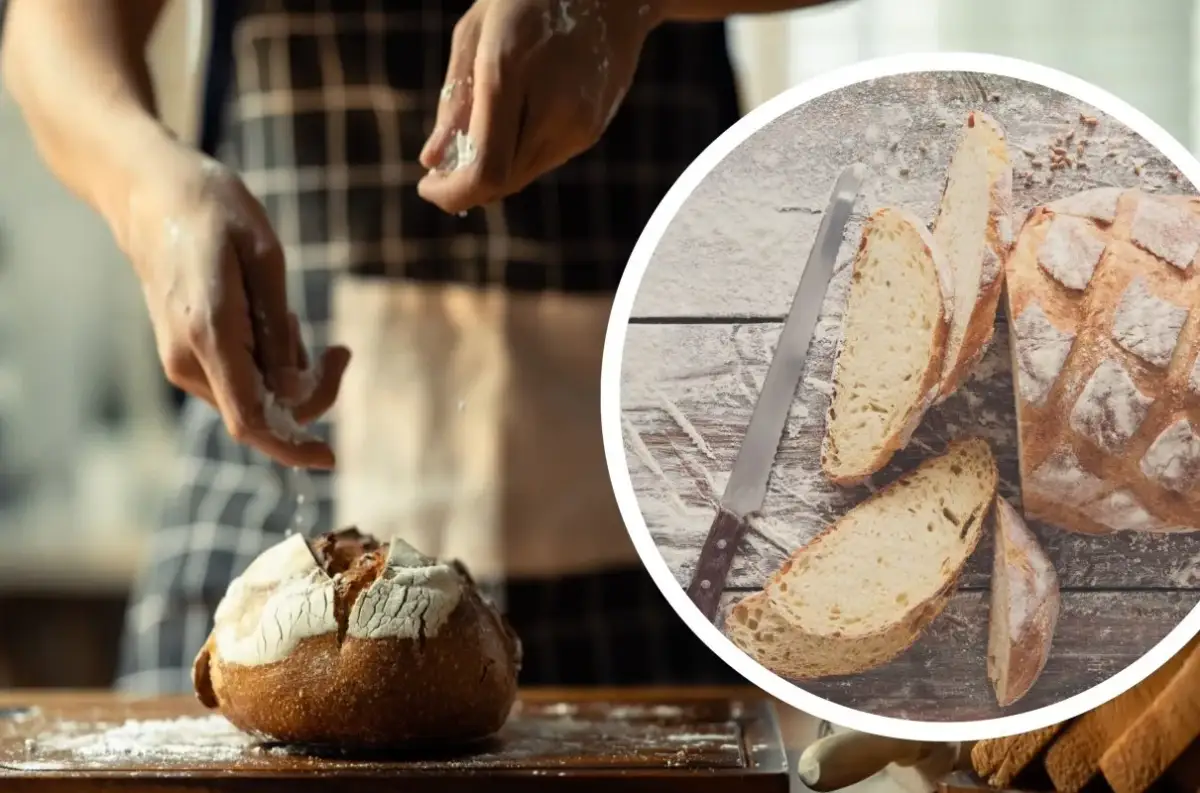 Dlaczego skórka chleba jest twarda? Odśwież i zapobiegaj!