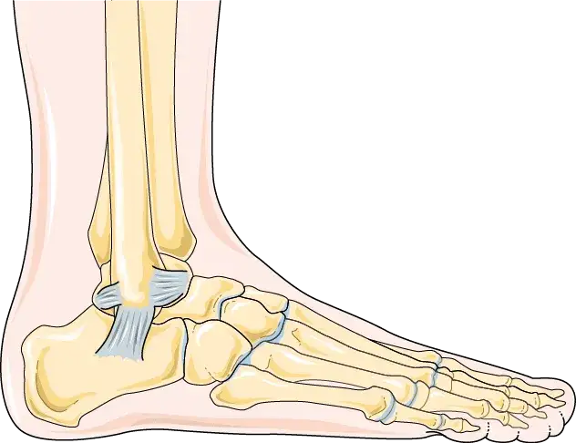 Ile trwa rehabilitacja po złamaniu pięty? Odzyskaj sprawność!