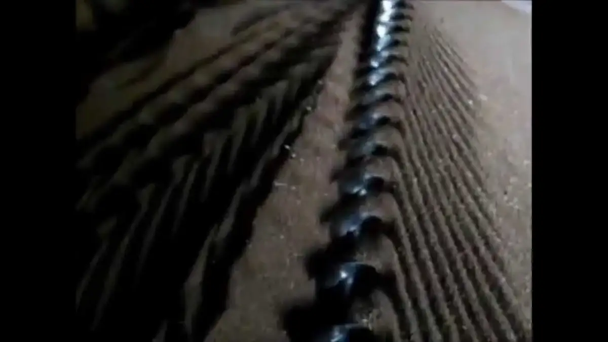 Jak zrobić żmijkę do zboża - proste kroki i materiały, które musisz znać