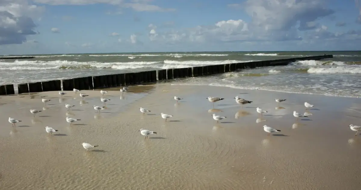 Gdzie najwięcej jodu nad Bałtykiem? Odkryj najlepsze lokalizacje