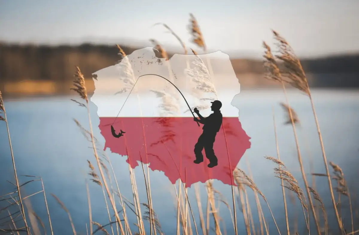 Sylwetka wędkarza łowiącego rybę na tle mapy Polski z flagą.