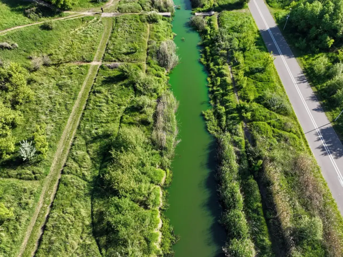 Jaka rzeka płynie przez Poznań? Odkryj tajemnice Warty i innych rzek