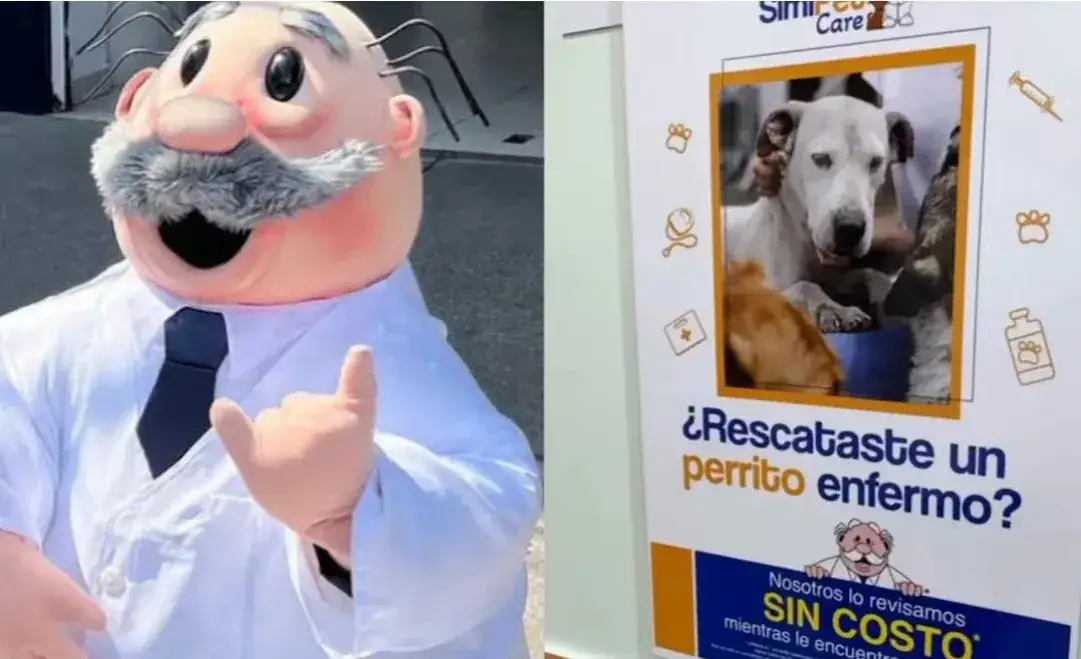 Veterinario gratis: opciones para cuidar de tu mascota sin costo