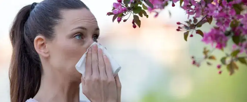 Alergia na pyłki: objawy, różnice z przeziębieniem i skuteczne sposoby