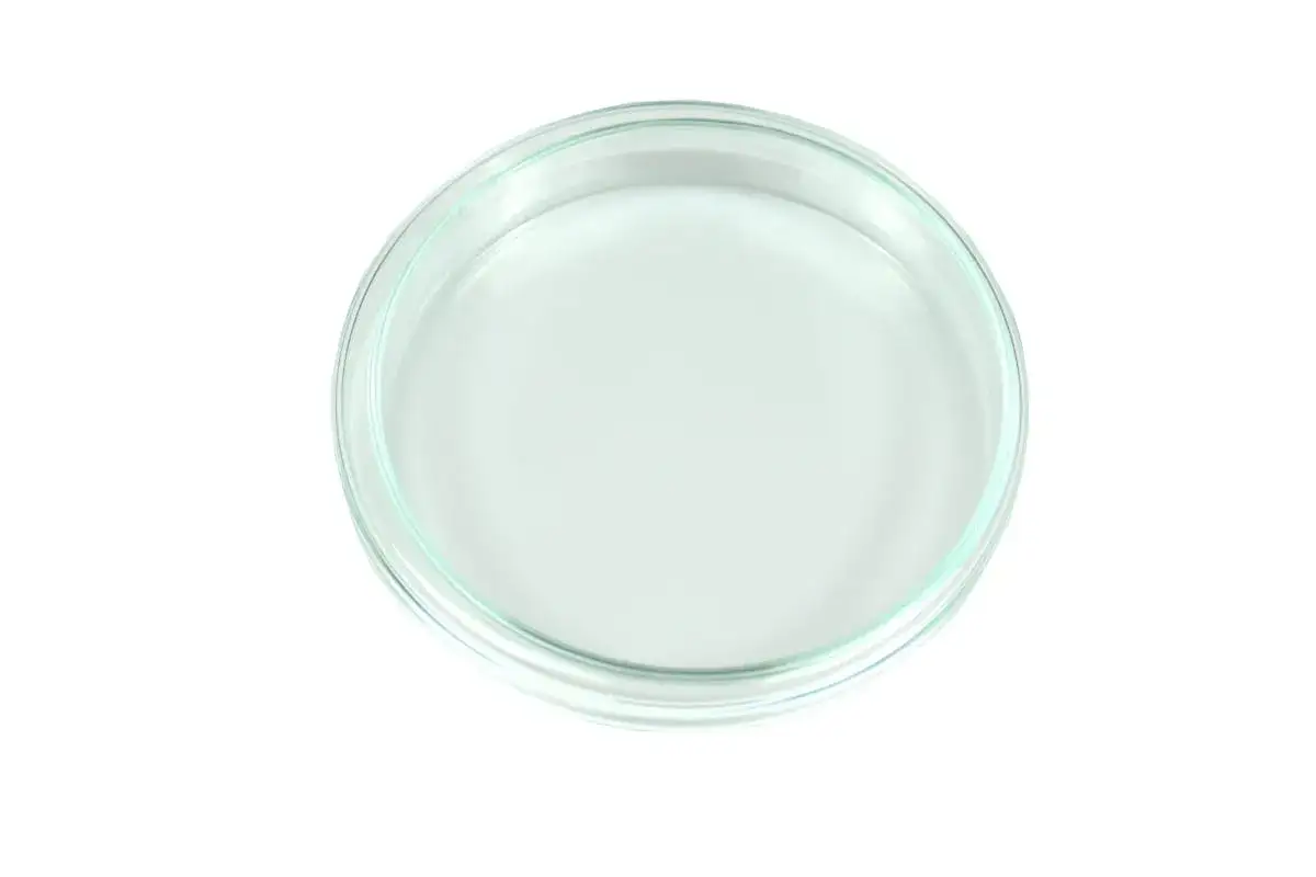 Szalka Petriego: Od laboratorium po dom odkryj jej zastosowania