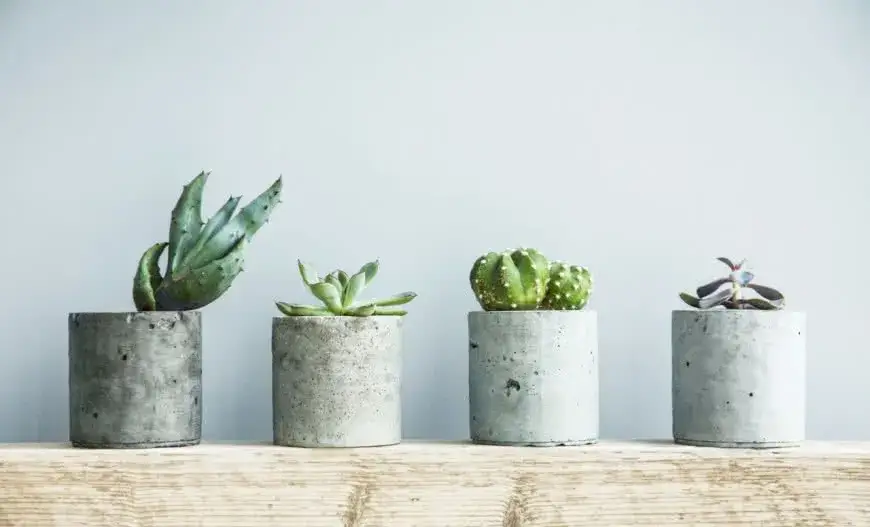 Jak zrobić ozdoby z betonu? Twój przewodnik DIY krok po kroku