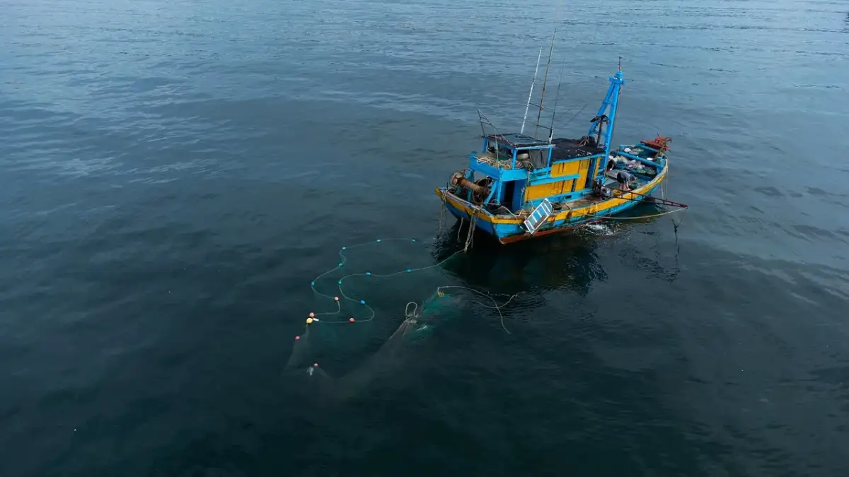 Jaki akumulator do łódki wędkarskiej? Wybierz mądrze, uniknij problemów