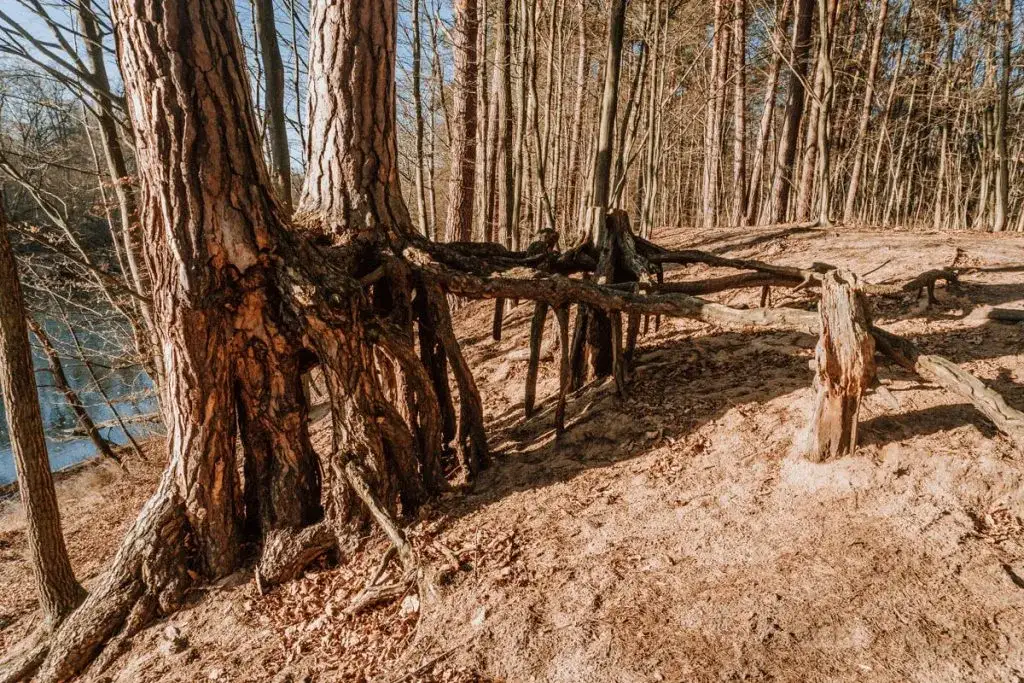 Najlepsze atrakcje w Spałej, które musisz zobaczyć podczas wizyty