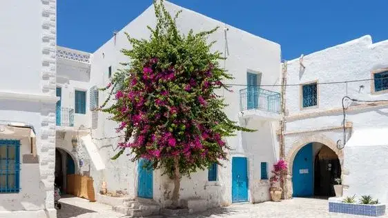 Tunezja Djerba czy jest bezpiecznie? Oto, co musisz wiedzieć