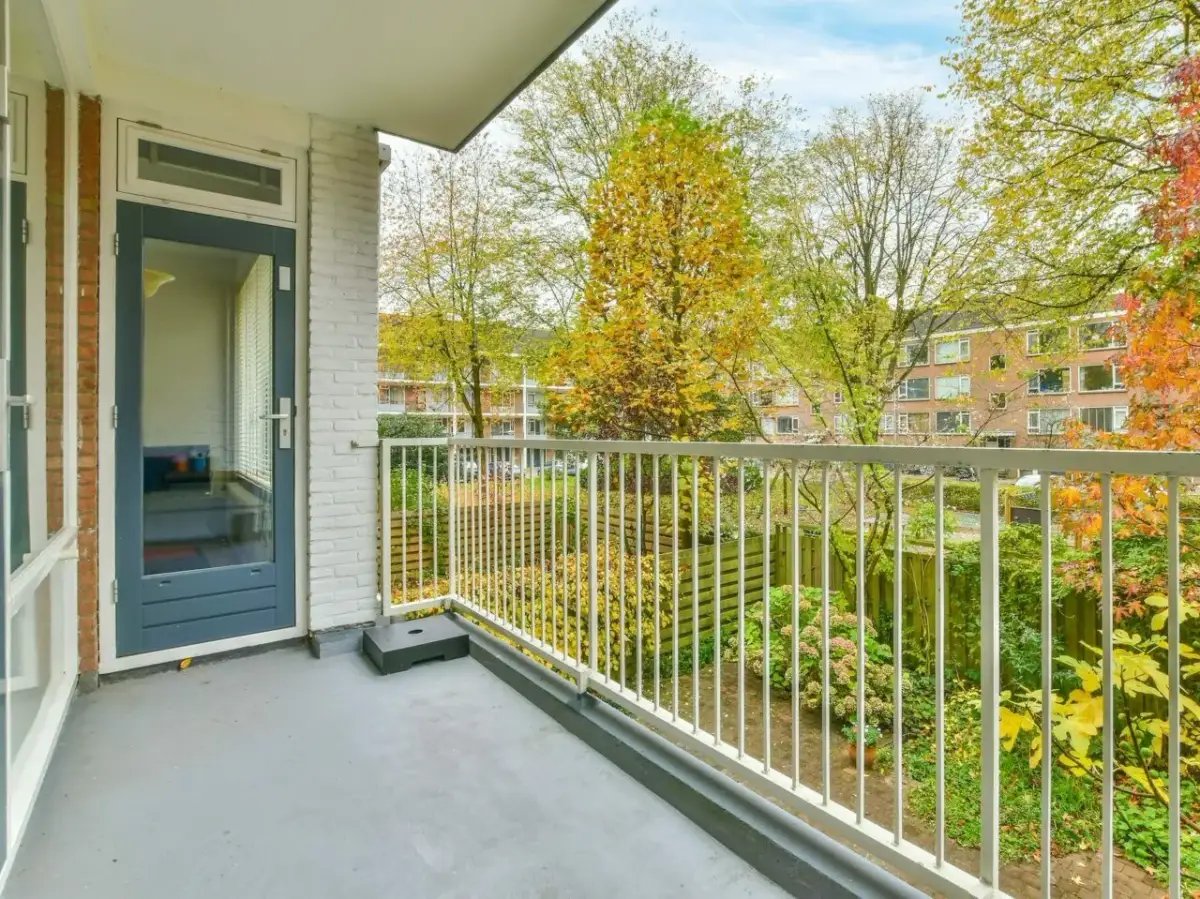 Jaka papa na balkon? Sprawdź, jak uniknąć kosztownych błędów