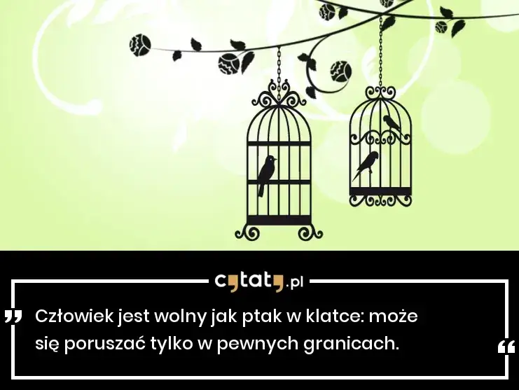 Cytaty o wolności: wolny jak ptak i jego ograniczenia w życiu