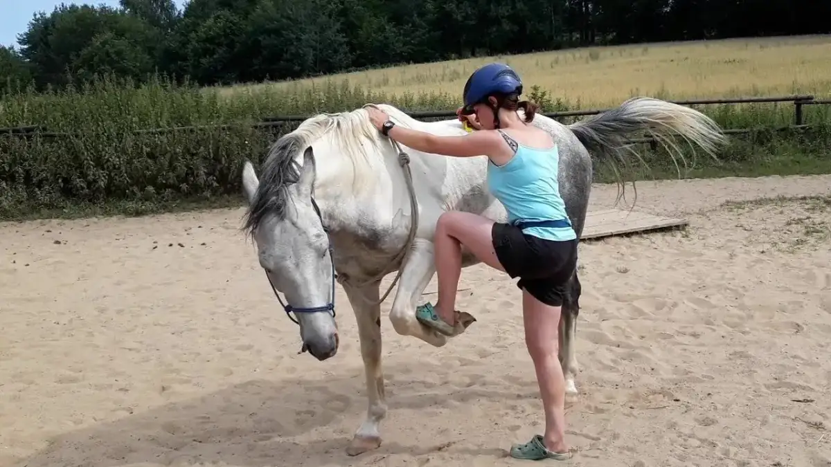 Jak wsiąść na konia: proste kroki, które ułatwią jazdę konną