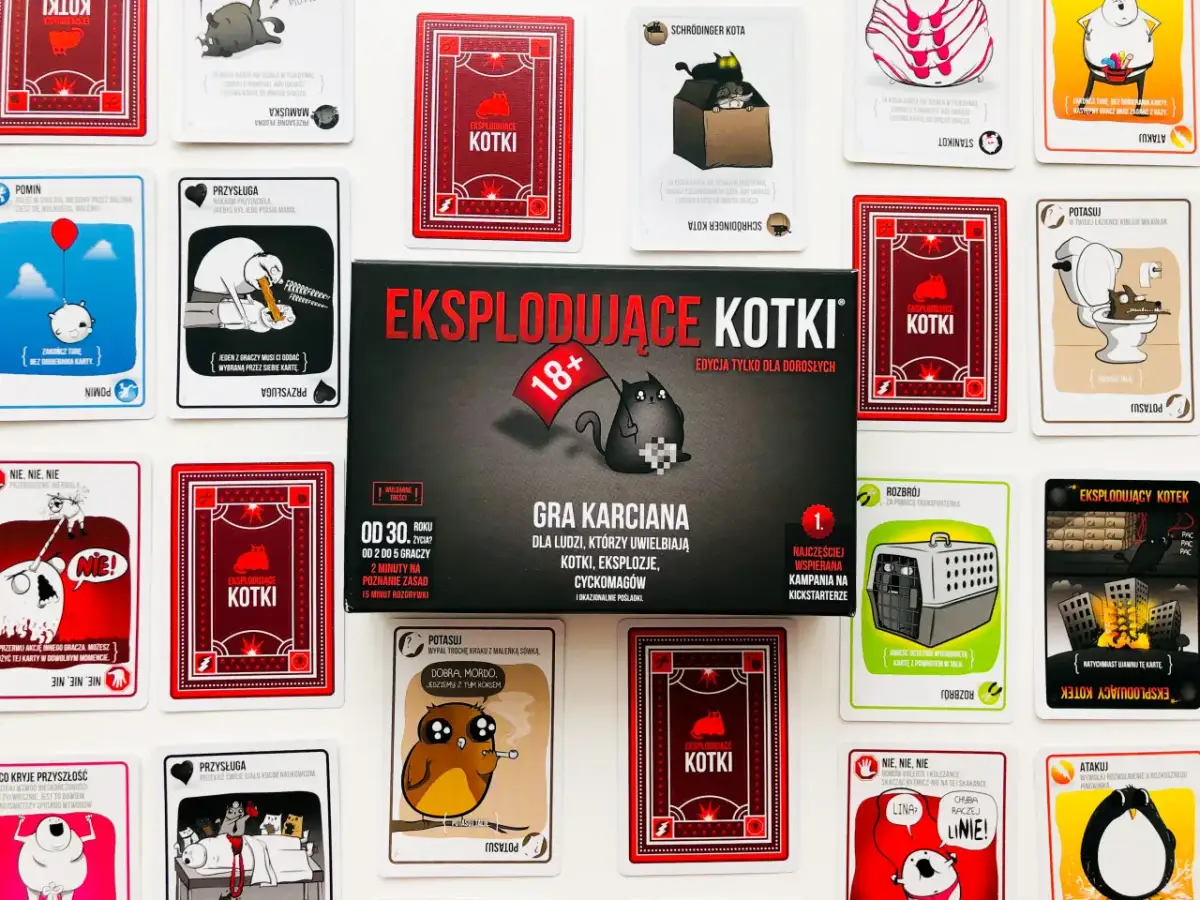 Jak grać w Kotki - proste zasady i strategie, które musisz znać