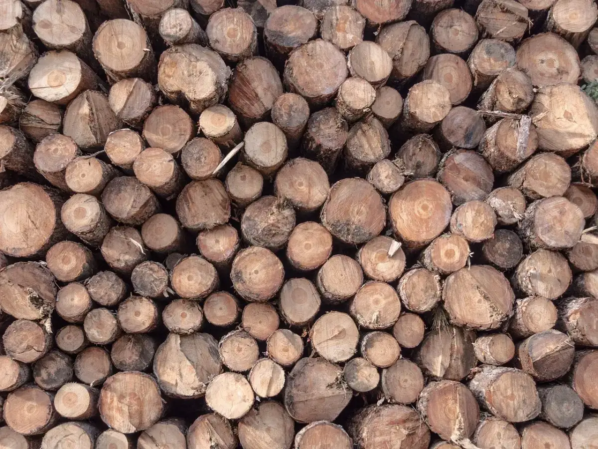 Stalowy czy drewniany dom szkieletowy? Porównanie, które rozwieje wątpliwości