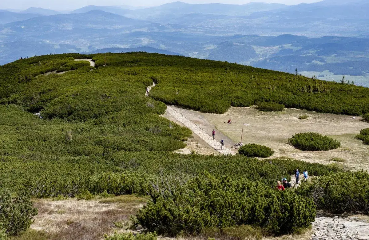 Babia Góra: Czas wejścia? Uniknij pułapek! Porady doświadczonego