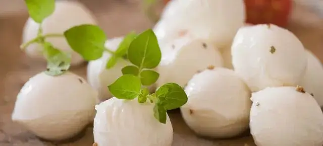 Czy podpuszczka jest wegetariańska? Odkryj, co musisz wiedzieć