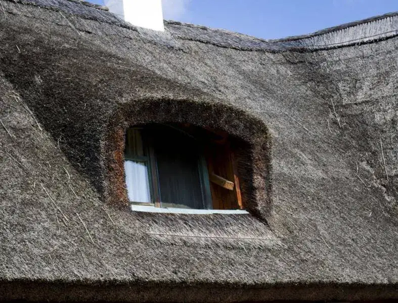 Strzecha na dachu: piękno, trwałość i korzyści ekologiczne