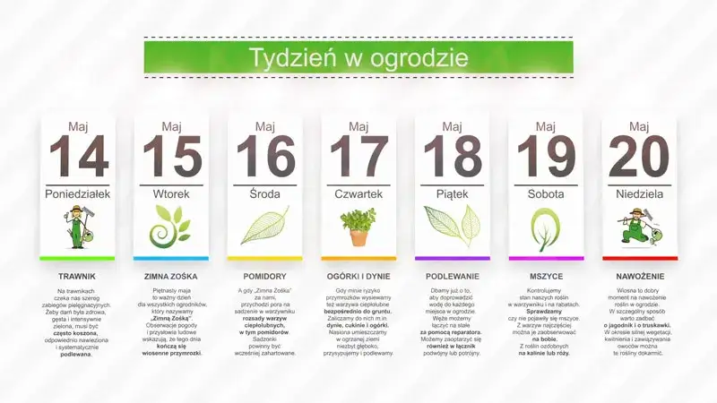 Kalendarz ogrodnika: co kiedy sadzić, aby uniknąć błędów w ogrodzie