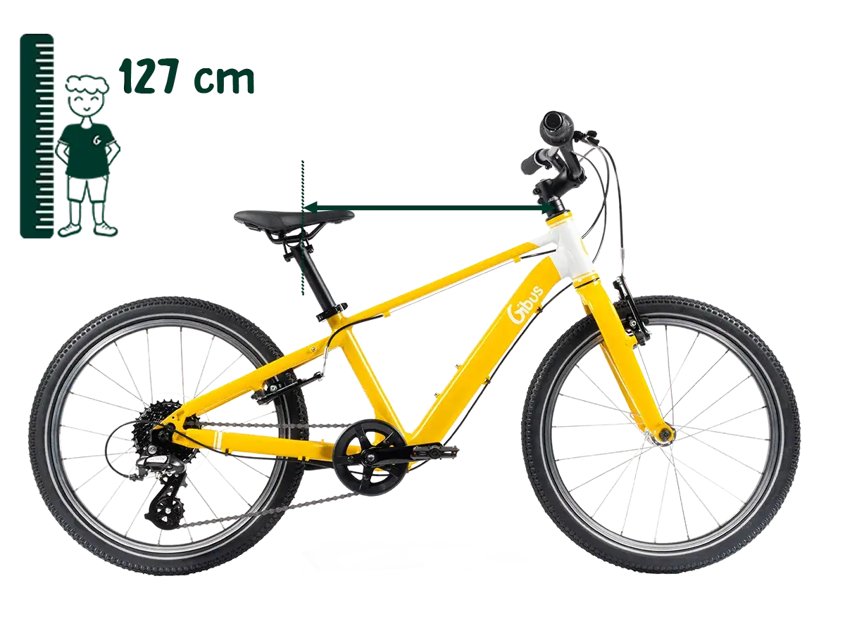 20 Zoll Fahrrad: Welches ist das Beste für mein Kind? Expertentipps