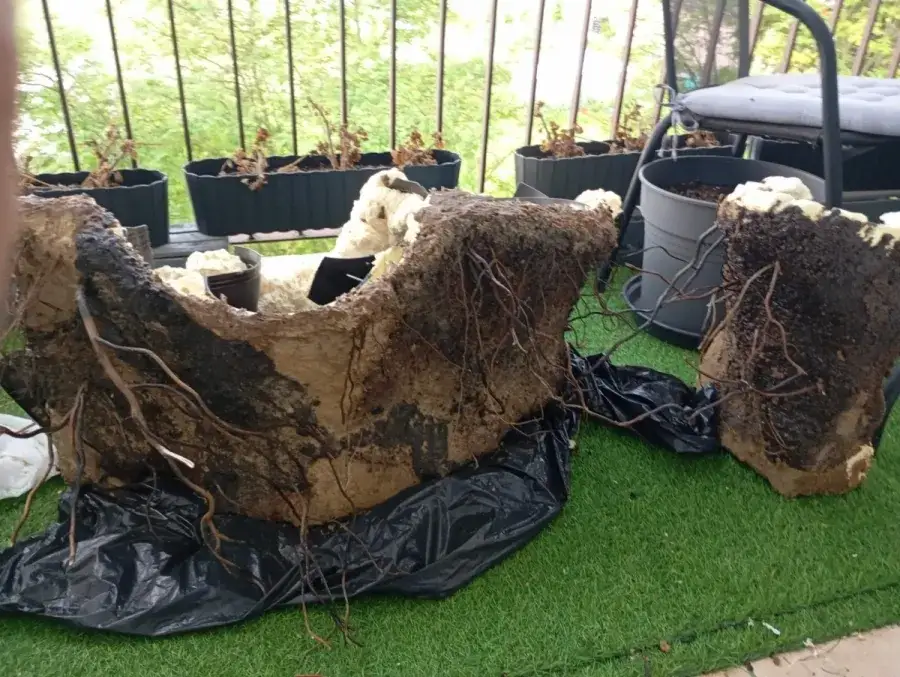 Jak zrobić tło strukturalne do akwarium: 7 prostych kroków