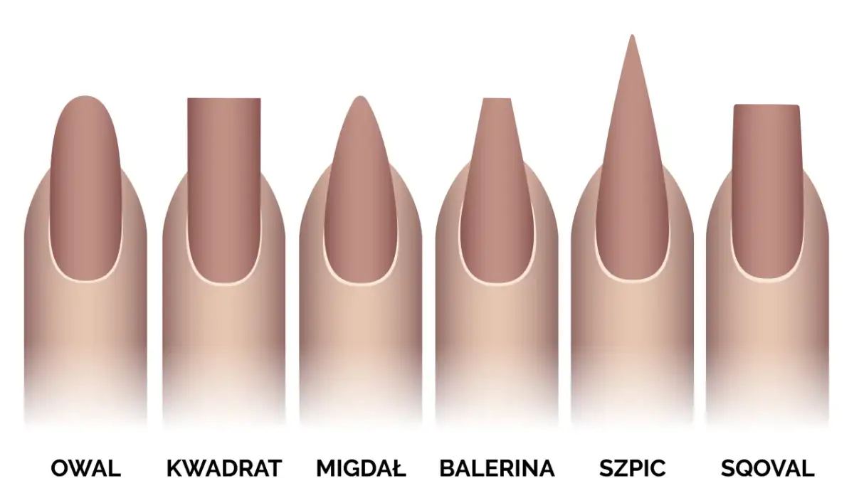 Ilustracja przedstawia sześć kształtów paznokci: owal, kwadrat, migdał, balerina, szpic i sqoval.
