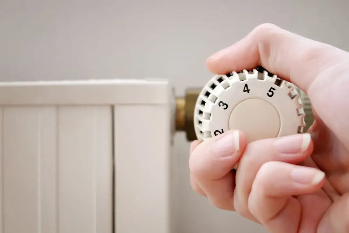 Skóra: Twój naturalny termostat. Jak działa regulacja temperatury?