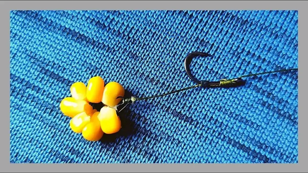 Jak zakładać kukurydzę na haczyk, aby nie tracić ryb i zwiększyć skuteczność