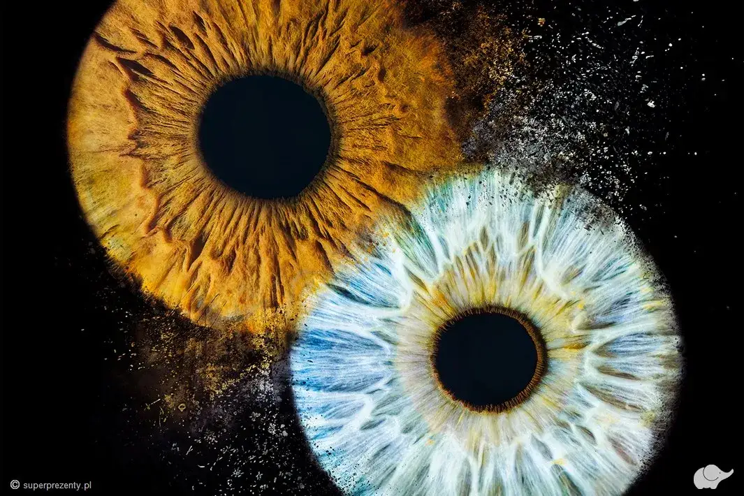 Zdjęcie tęczówki oka: Gdzie i za ile zrobisz je w Polsce?