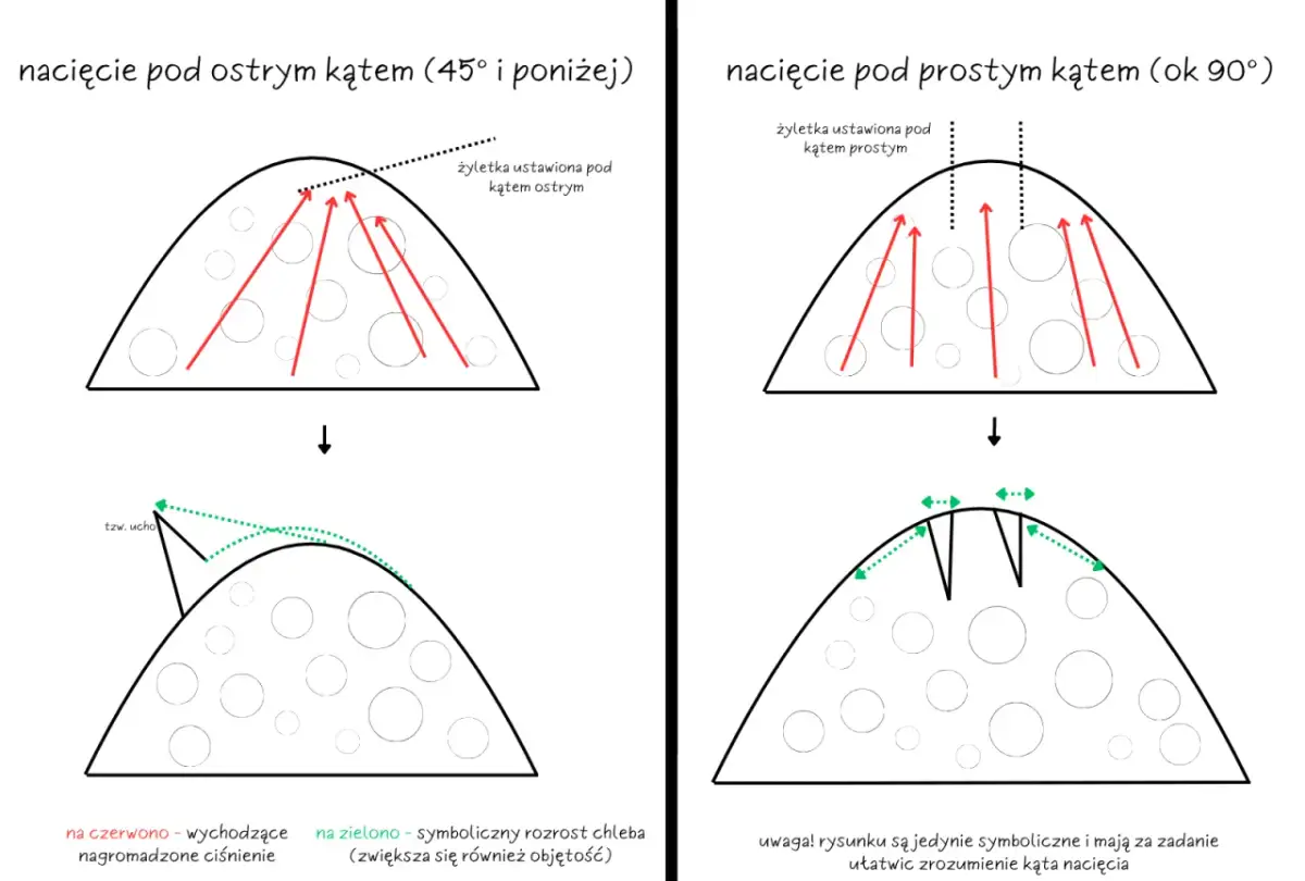 Perfekcyjne nacinanie chleba: Zdobądź ucho i uniknij błędów