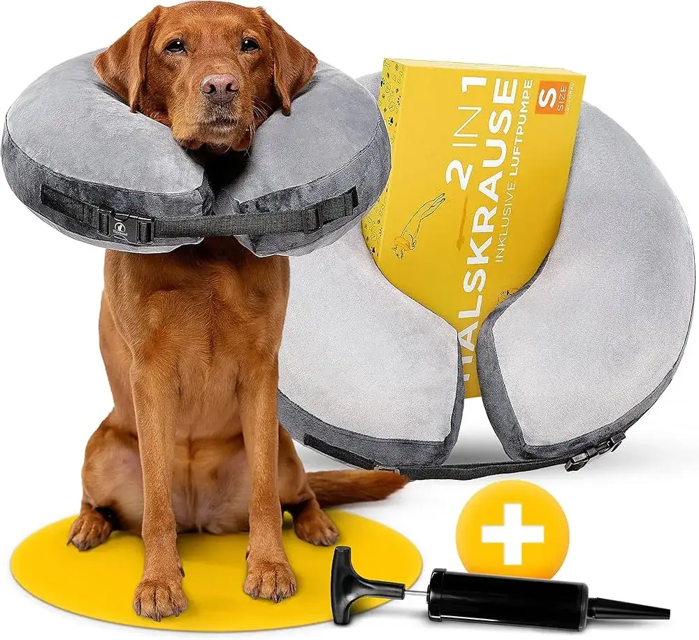 Alternatywy dla kołnierza ochronnego: Komfort psa po zabiegu