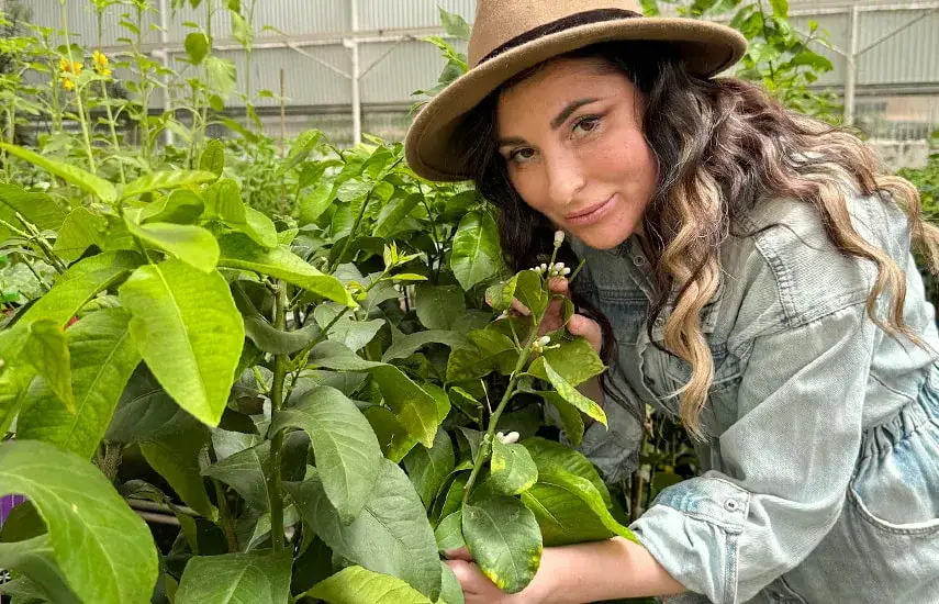 Rośliny na taras: Stwórz wymarzoną oazę. Poradnik eksperta!