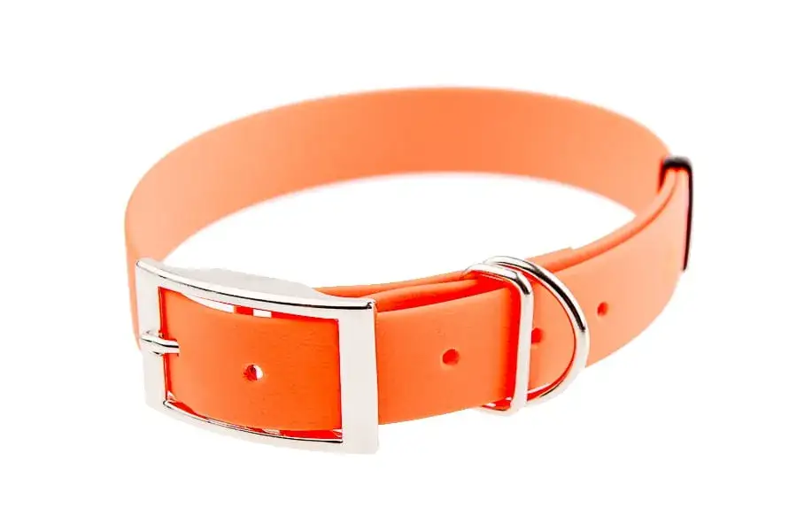 Najlepsza obroża dla szczeniaka berneńczyka - bezpieczeństwo i komfort