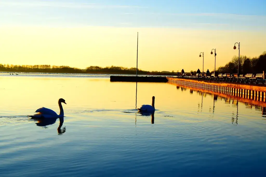 Najlepsze atrakcje w Powidzu: Odkryj piękno jeziora i parku