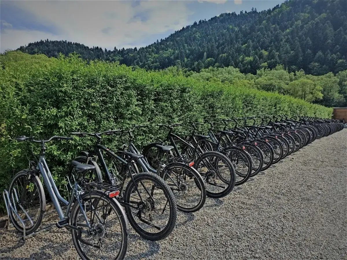 Rowery elektryczne Szczawnica: Ranking 5 najtańszych wypożyczalni