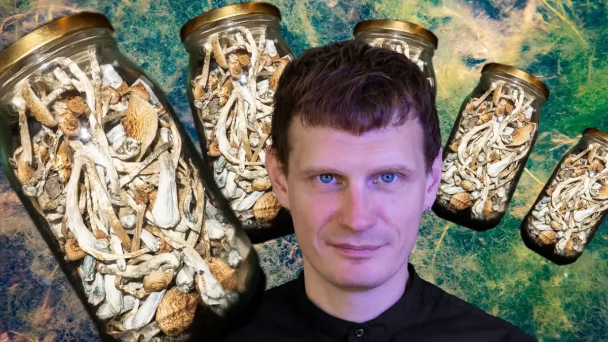 Grzyby psylocybinowe: Prawo, ryzyko, terapia. Czy to przyszłość medycyny?
