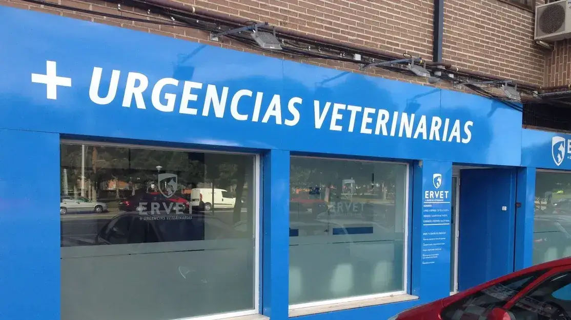 Encuentra el mejor veterinario en Alcorcón para tu mascota hoy
