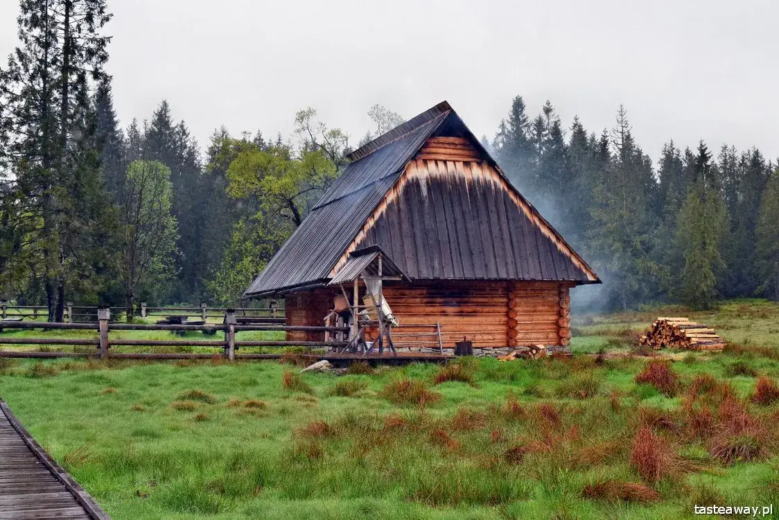 Gdzie kupić prawdziwe oscypki? Bacówka u Jancoka | Przewodnik
