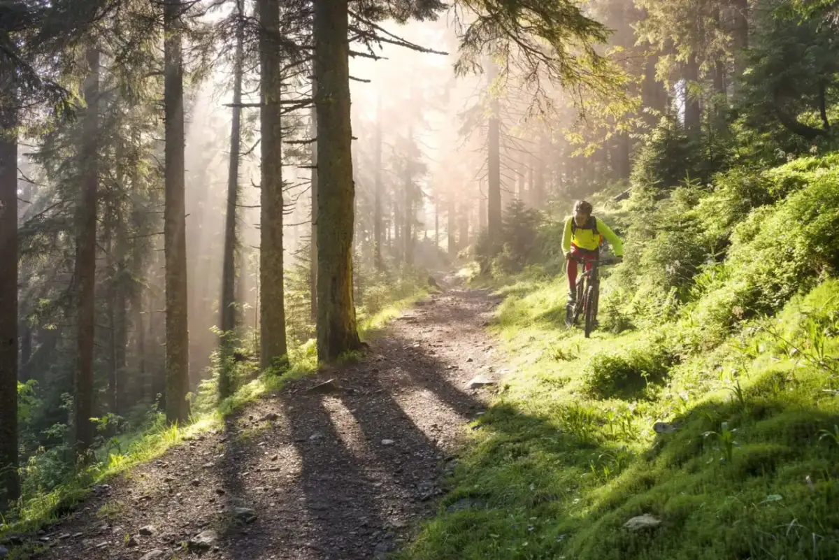 Trasy rowerowe Solina: Przewodnik dla każdego. Odkryj Bieszczady!